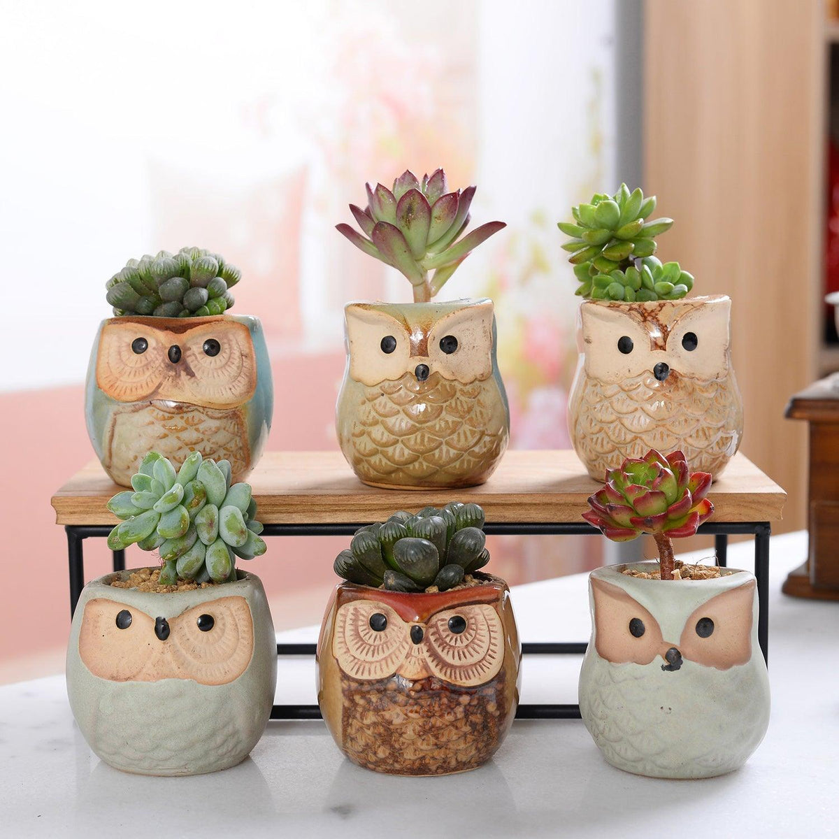 6-Piece Mini Owl Ceramic Succulent Planter Pots