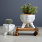 2-Piece White Ceramic Face Succulent Planters