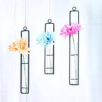 Hanging Iron Propagation Terrarium Vases