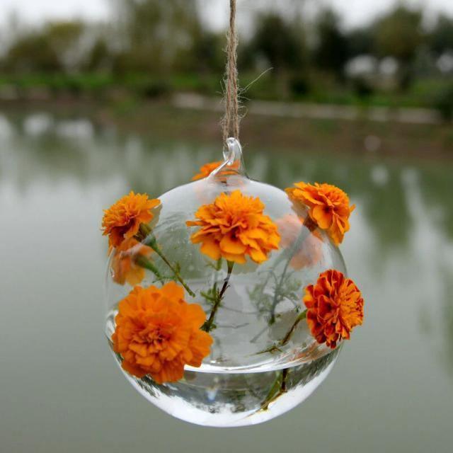 Hanging Glass Ball Terrarium Vase