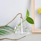 3-Piece Glass Hanging Terrarium Vases