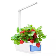 Indoor Herb Garden Hydroponic LED Planter Kit