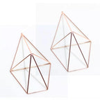 2-Piece Geometric Wall-Mounted Air Plant Hangers LightCoral | Sage & Sill