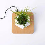 Magnetic Levitating Planter