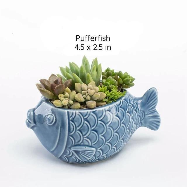 Under the Sea Planters