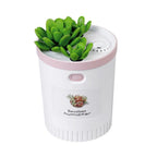 Mini Succulent USB Humidifier