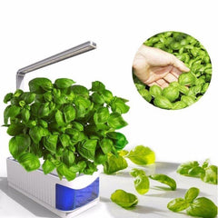 Indoor Herb Garden Hydroponic LED Planter Kit